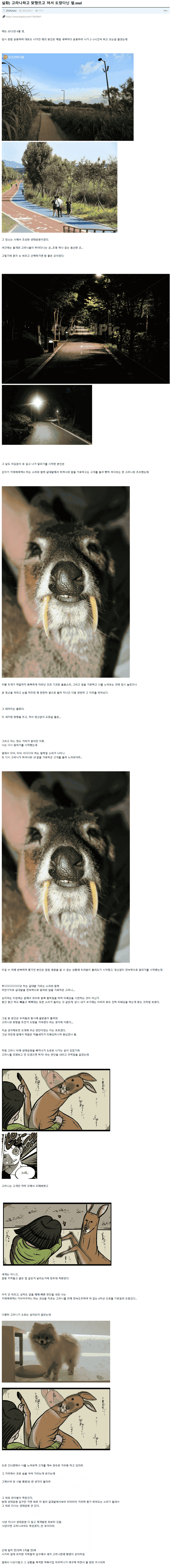 실화) 고라니하고 맞짱뜨고 져서 도망다닌 썰.ssul