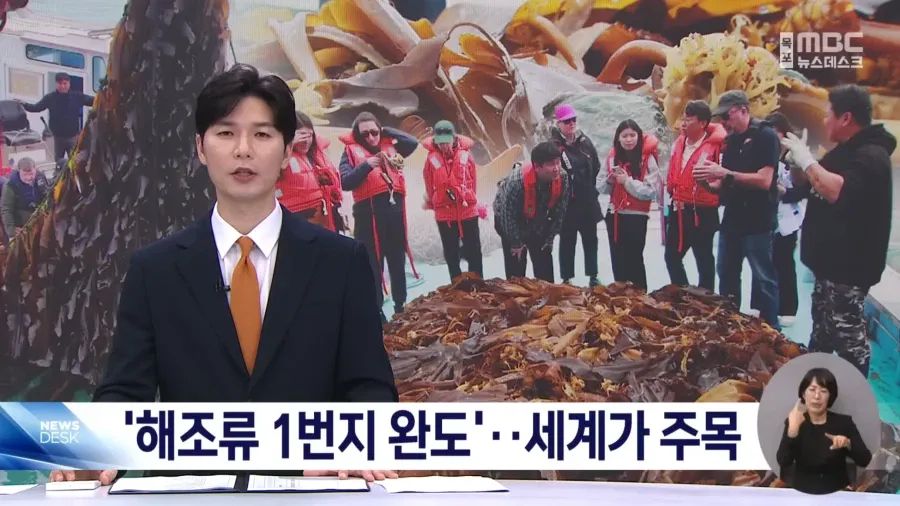 전 세계에서 주목하는 한국의 섬