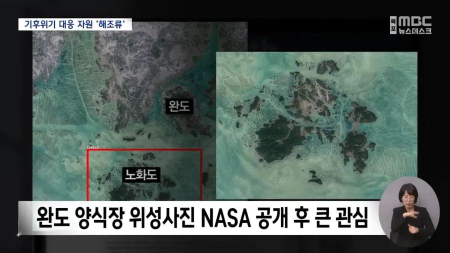 전 세계에서 주목하는 한국의 섬
