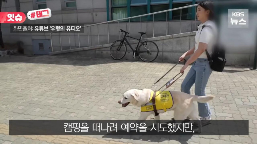 “우리 캠핑장은 사유지라”…KBS 앵커 출신 유튜버, 안내견 거부당했다