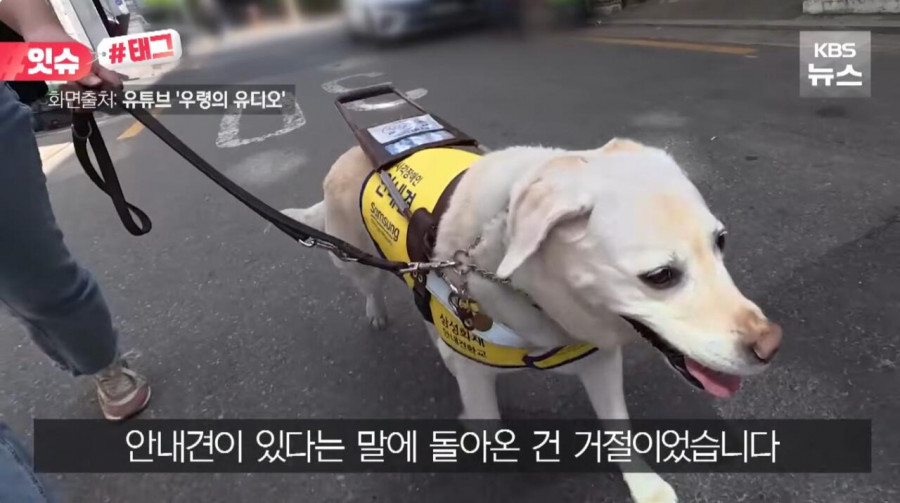 “우리 캠핑장은 사유지라”…KBS 앵커 출신 유튜버, 안내견 거부당했다