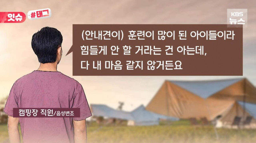 “우리 캠핑장은 사유지라”…KBS 앵커 출신 유튜버, 안내견 거부당했다