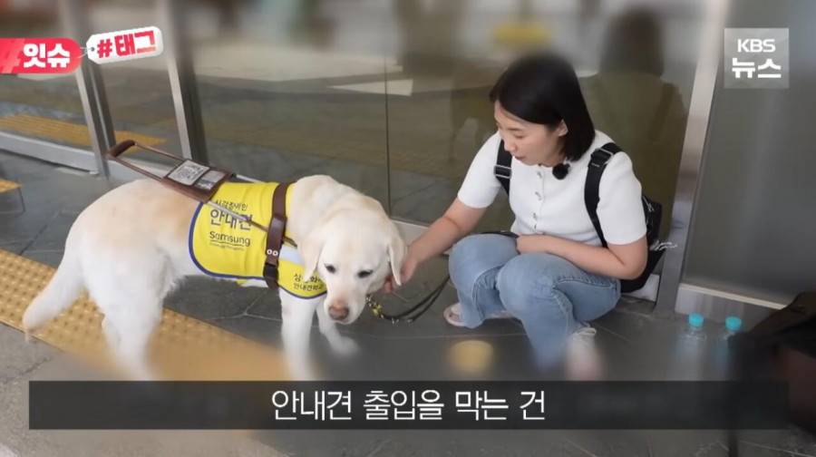“우리 캠핑장은 사유지라”…KBS 앵커 출신 유튜버, 안내견 거부당했다