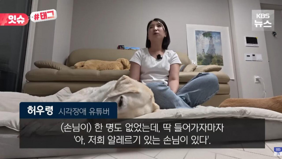 “우리 캠핑장은 사유지라”…KBS 앵커 출신 유튜버, 안내견 거부당했다