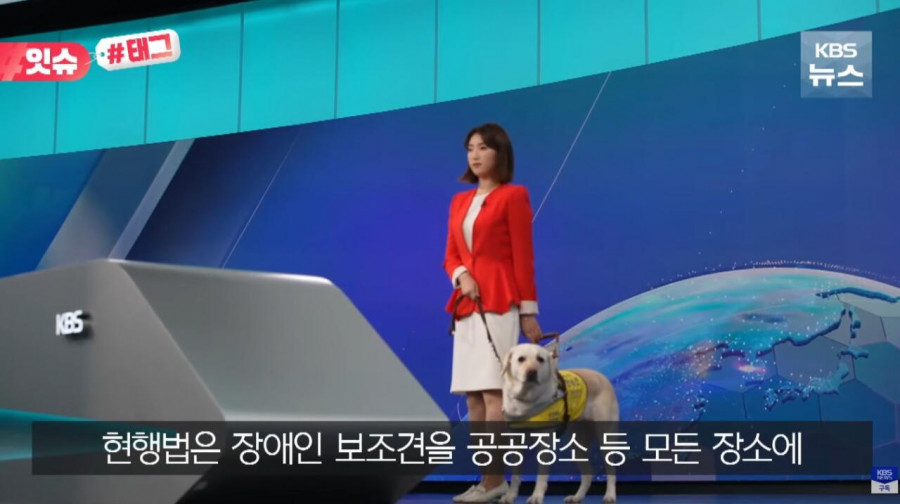 “우리 캠핑장은 사유지라”…KBS 앵커 출신 유튜버, 안내견 거부당했다