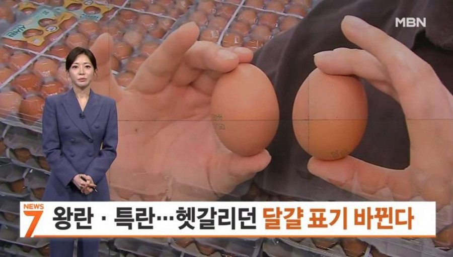 우리나라 달걀 표기 변경 예정