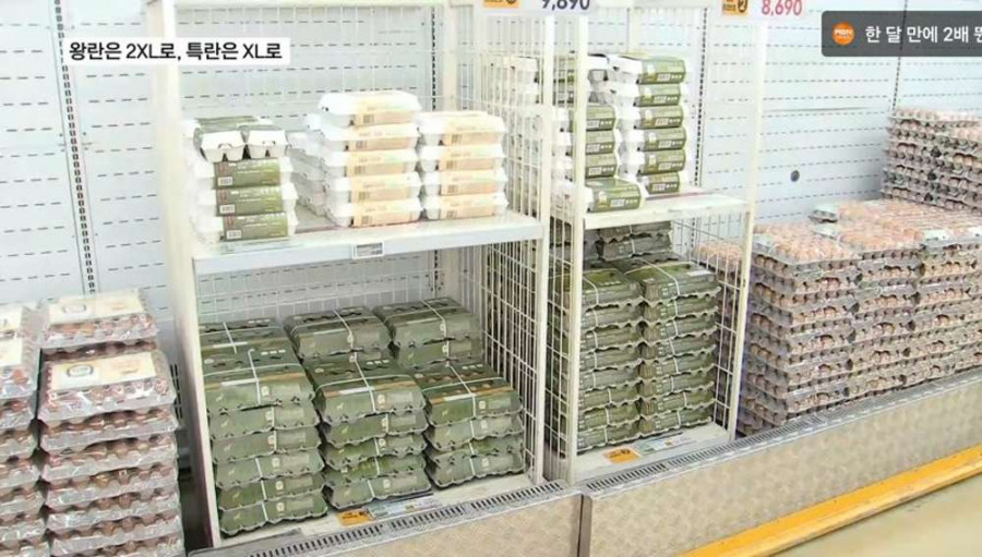 우리나라 달걀 표기 변경 예정