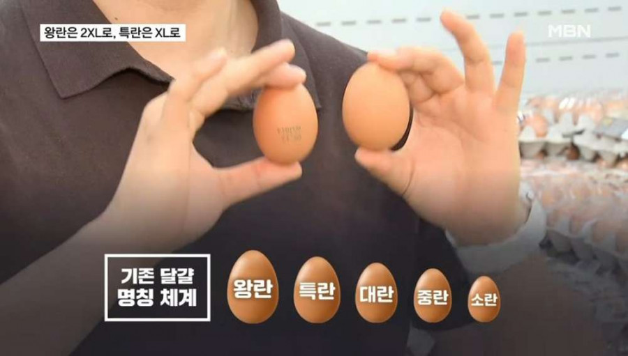 우리나라 달걀 표기 변경 예정