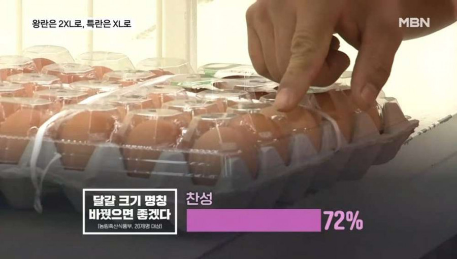 우리나라 달걀 표기 변경 예정