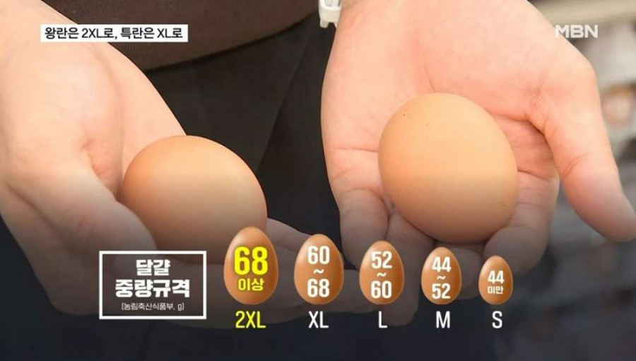 우리나라 달걀 표기 변경 예정