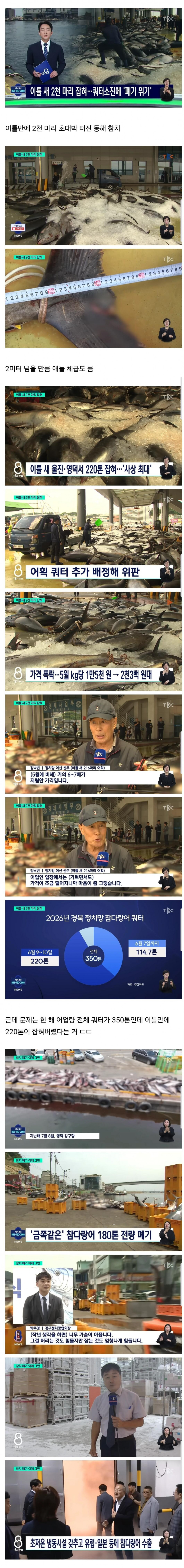 참치 때문에 난리났다는 동해 근황