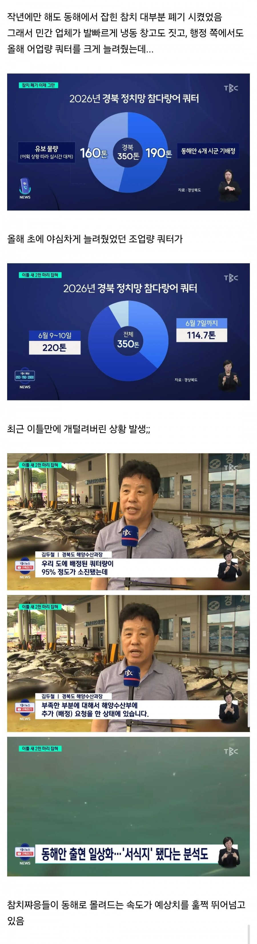 참치 때문에 난리났다는 동해 근황