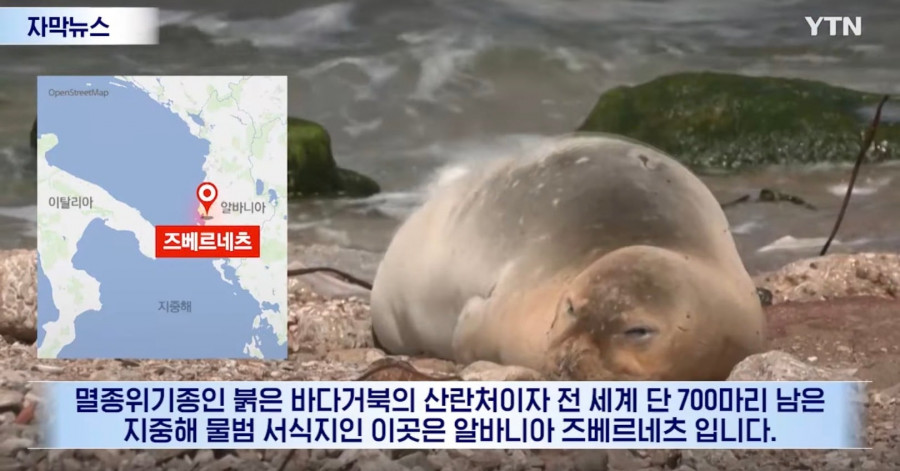 트럼프딸에게 리조트건설 혜택줬다가 정권바뀌게 생긴 알바니아