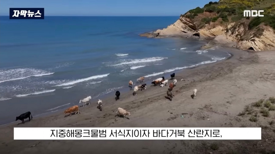 배 타고 지나가다 아름다움 경치에 매료된 여자