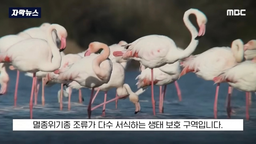 배 타고 지나가다 아름다움 경치에 매료된 여자