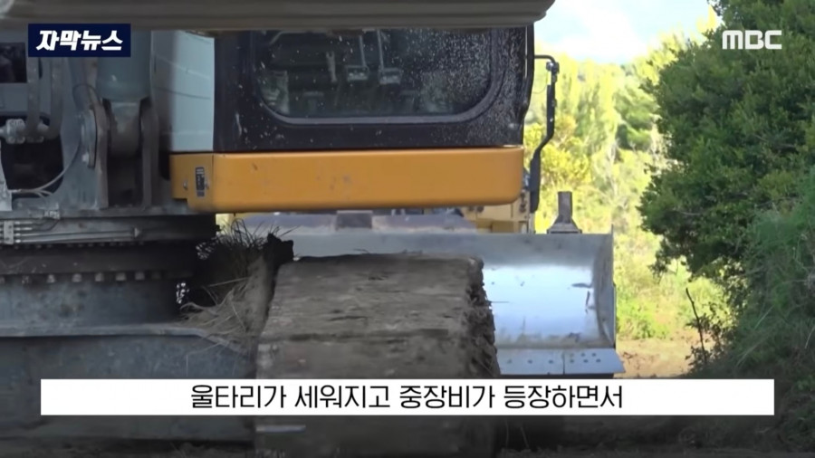 배 타고 지나가다 아름다움 경치에 매료된 여자