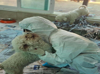 박정연 ig #레인보우쉼터