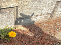 김향기 ig 애매하고 사랑스러운계절 봄