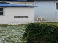 김향기 story 따가운 시선..