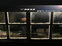 채원빈 stroy 8월의 크리스마스 #이친자 오늘 밤 7화 함께 해요