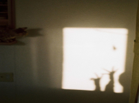 카라타 에리카 insta 빛과 그림자 놀이