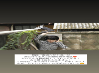 카라타 에리카 stories 영화 바닷가로 가는 길 2025 기대해주세요