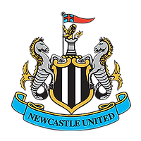 뉴캐슬